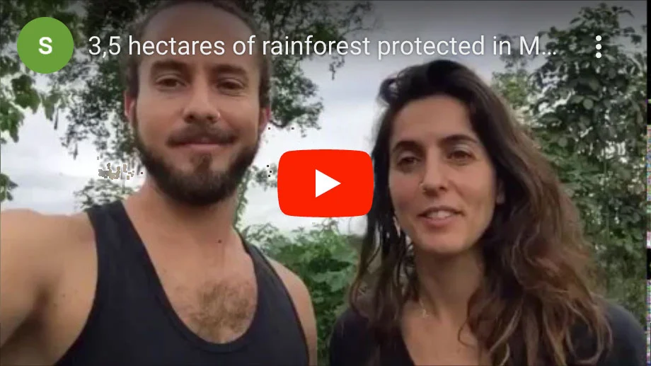 External Link to YouTube Video Hooray from Chrissy and Stefano